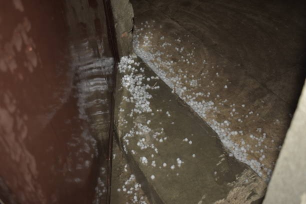 Your Guide to Hiring a Local Crawlspace Company Near You