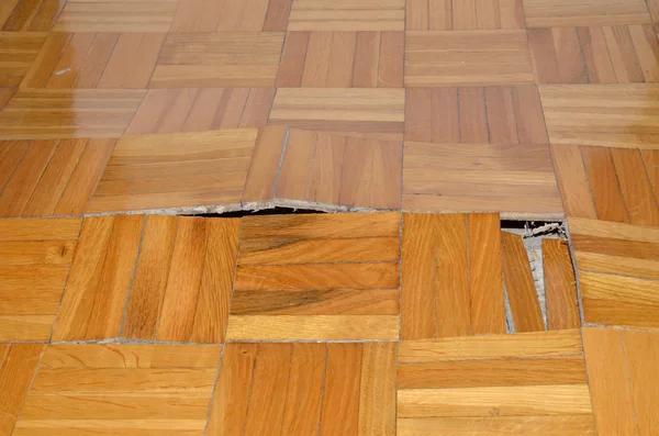 Water Damage Repair Services with Quick Response Time