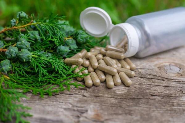 Understanding The Role Do Herbal Supplements Play in Boosting Immune Function Naturally