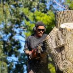 Tree Removal Service Tips Every Property Owner Should Know