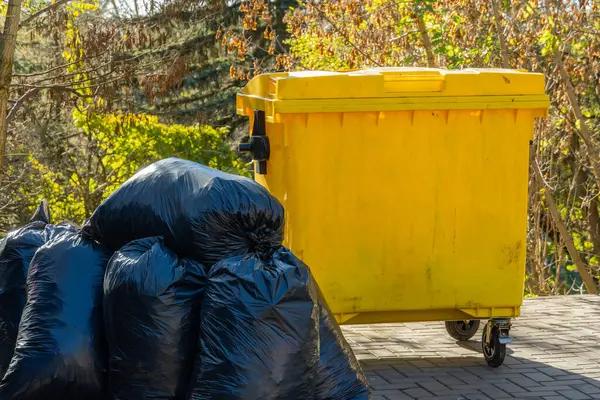 Simple Ways to Get Started With Melrose junk removal