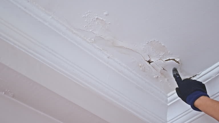Discover Quality Roofing Solutions with a Dependable Bronx Roofer
